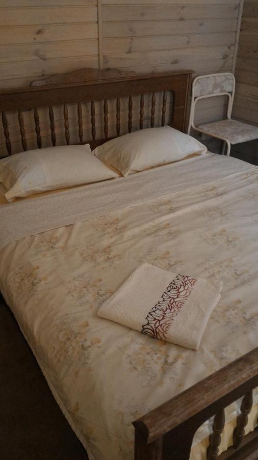 Small Guest House Odessa Extérieur photo